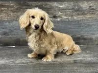 processed/72f5461e-3859-47f2-807e-e843f4c72213/listing/44841edd-bc6a-4df9-a5f0-a98b70fefa05/4a5b5fd0-9a94-4cfb-8b3f-796300342207