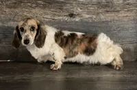 processed/72f5461e-3859-47f2-807e-e843f4c72213/listing/44841edd-bc6a-4df9-a5f0-a98b70fefa05/855ab9d4-6a8c-4838-a5ff-728d693337d8