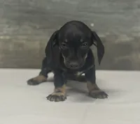 processed/72f5461e-3859-47f2-807e-e843f4c72213/listing/c34862b0-eec7-45c9-961e-0fb324aa3a95/a41529cb-9dad-426a-8bb2-4310a7b80a8f