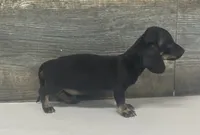 processed/72f5461e-3859-47f2-807e-e843f4c72213/listing/c34862b0-eec7-45c9-961e-0fb324aa3a95/c54393a5-6297-4e45-b0b4-7124ee80b8b6