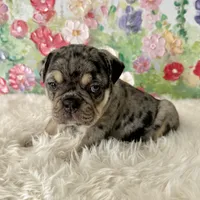 processed/72fa224e-998f-4417-9ef0-ef86a340a47c/listing/01d6d051-ac21-4928-b99f-ffa3be9633b4/095ca171-a367-4013-aa2e-82706fb0f3d6