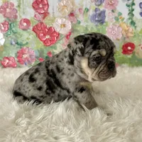 processed/72fa224e-998f-4417-9ef0-ef86a340a47c/listing/01d6d051-ac21-4928-b99f-ffa3be9633b4/dfc7851c-7997-4613-ad32-150d2eab2b24