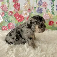 processed/72fa224e-998f-4417-9ef0-ef86a340a47c/listing/01d6d051-ac21-4928-b99f-ffa3be9633b4/e6e9adf8-9ce0-446a-aacb-73c40890dc78