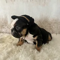 processed/72fa224e-998f-4417-9ef0-ef86a340a47c/listing/087b9355-7a2e-4de1-8246-005004dffb98/8eeb3908-c119-4b6a-9d66-8863949cb6e5