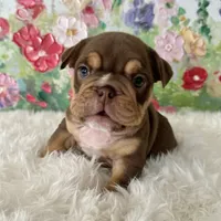 processed/72fa224e-998f-4417-9ef0-ef86a340a47c/listing/0f8cdd53-a04f-4eed-b5ac-c7c48754dda5/f5b5bab5-94ed-4848-aacd-4f4652b991b9