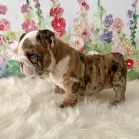 processed/72fa224e-998f-4417-9ef0-ef86a340a47c/listing/286adef8-6518-4108-9f3e-693d50b85a9c/13457dca-29b3-4783-8e8d-1439ffa87dfb