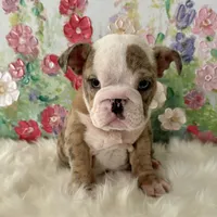 processed/72fa224e-998f-4417-9ef0-ef86a340a47c/listing/286adef8-6518-4108-9f3e-693d50b85a9c/b147c909-7744-4109-ba16-0b4748d94bbd