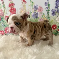 processed/72fa224e-998f-4417-9ef0-ef86a340a47c/listing/286adef8-6518-4108-9f3e-693d50b85a9c/d8a68ff7-bc63-4c76-919d-702ed47256ba