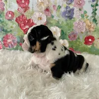 processed/72fa224e-998f-4417-9ef0-ef86a340a47c/listing/5d927d7a-e889-4b30-b590-c996aa2d742f/0f9dc09b-2c13-47f5-b6ef-db8a1fbb5be1