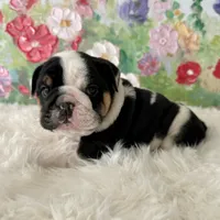 processed/72fa224e-998f-4417-9ef0-ef86a340a47c/listing/5d927d7a-e889-4b30-b590-c996aa2d742f/8bfb990a-e8fa-43d8-9fc6-3ed6119f2a65