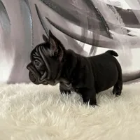 processed/72fa224e-998f-4417-9ef0-ef86a340a47c/listing/a2056580-8883-4493-84a0-94584000c7e9/4542014a-c153-4b92-ac01-2bfdc44bfbc9