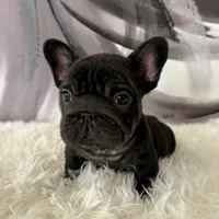 processed/72fa224e-998f-4417-9ef0-ef86a340a47c/listing/a2056580-8883-4493-84a0-94584000c7e9/6f7babe3-781d-4e57-b42c-d8a41eafb639