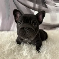 processed/72fa224e-998f-4417-9ef0-ef86a340a47c/listing/a2056580-8883-4493-84a0-94584000c7e9/7028a28f-ba0d-4dba-b214-709b1da5f490