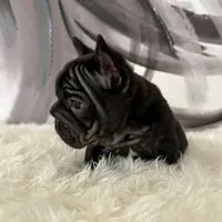 processed/72fa224e-998f-4417-9ef0-ef86a340a47c/listing/a2056580-8883-4493-84a0-94584000c7e9/73a4b5f2-0b7f-4d8f-bf3d-a13e28b29257