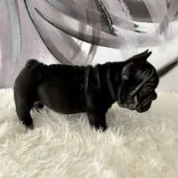 processed/72fa224e-998f-4417-9ef0-ef86a340a47c/listing/a2056580-8883-4493-84a0-94584000c7e9/88b449dd-2595-4845-8360-a8aed4b3b3b1