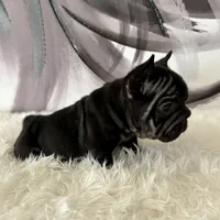 processed/72fa224e-998f-4417-9ef0-ef86a340a47c/listing/a2056580-8883-4493-84a0-94584000c7e9/c9e0e637-c66d-4f9b-905b-02af591a28c8