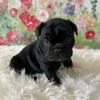 processed/72fa224e-998f-4417-9ef0-ef86a340a47c/listing/d8c42477-9782-43d6-87a9-fc6776b47028/e1b249ce-f1b9-4e31-9ecc-82b3f51ef8fe