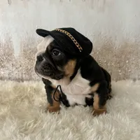 processed/72fa224e-998f-4417-9ef0-ef86a340a47c/listing/e660a7c8-dedf-432a-a22e-2e946ae15614/5f6a7056-aafa-4583-8962-08d2143d23cd