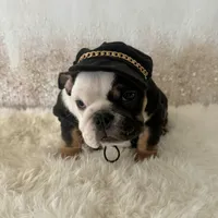 processed/72fa224e-998f-4417-9ef0-ef86a340a47c/listing/e660a7c8-dedf-432a-a22e-2e946ae15614/7aa922b1-6c87-4d1f-9b84-d680bebbb5e5