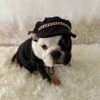 processed/72fa224e-998f-4417-9ef0-ef86a340a47c/listing/e660a7c8-dedf-432a-a22e-2e946ae15614/a66124d2-abd7-482f-82db-e164125c69da