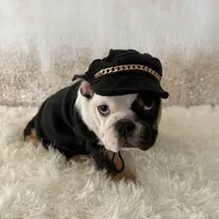 processed/72fa224e-998f-4417-9ef0-ef86a340a47c/listing/e660a7c8-dedf-432a-a22e-2e946ae15614/bc47be7f-2ad8-453b-99d8-d3bbf4f71fda