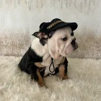 processed/72fa224e-998f-4417-9ef0-ef86a340a47c/listing/e660a7c8-dedf-432a-a22e-2e946ae15614/d47d72ec-7ef2-4b8a-8250-c66bbc244980