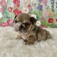 processed/72fa224e-998f-4417-9ef0-ef86a340a47c/listing/ecd0fbf6-966c-41e4-b591-20a2b5f6ec45/07fe4ca0-b740-4304-b7ed-78aa756b2728