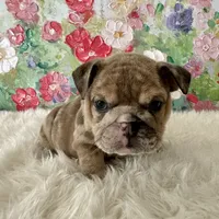 processed/72fa224e-998f-4417-9ef0-ef86a340a47c/listing/ecd0fbf6-966c-41e4-b591-20a2b5f6ec45/6fa3fb19-95b0-4dfd-b5bd-8449e9009bdd