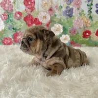 processed/72fa224e-998f-4417-9ef0-ef86a340a47c/listing/ecd0fbf6-966c-41e4-b591-20a2b5f6ec45/e26ffd91-8150-4f36-be40-c83214c83253