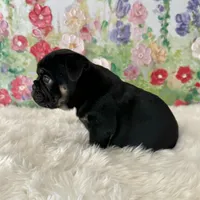 processed/72fa224e-998f-4417-9ef0-ef86a340a47c/listing/f134932b-b186-48ff-9897-b7ec4842661e/bfffeeec-bd84-4397-86f2-8958584ccf96