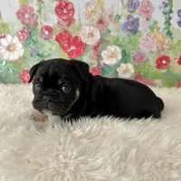 processed/72fa224e-998f-4417-9ef0-ef86a340a47c/listing/f134932b-b186-48ff-9897-b7ec4842661e/c4d539fb-7122-4e2a-ad8e-7279c7024c72