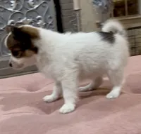 processed/72fb501c-092e-468d-9814-066420275255/listing/73e81ad5-4178-4e6d-a9dd-2a2c299910e6/4696e403-5b11-4104-9406-36929b29c7c1