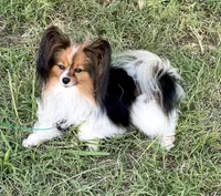 processed/72fb501c-092e-468d-9814-066420275255/listing/73e81ad5-4178-4e6d-a9dd-2a2c299910e6/46b3b6fe-8b78-4519-9ba1-74d9e005618d