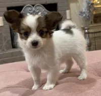 processed/72fb501c-092e-468d-9814-066420275255/listing/73e81ad5-4178-4e6d-a9dd-2a2c299910e6/6079e474-7512-4ff0-9e01-861a791477b5