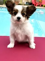 processed/72fb501c-092e-468d-9814-066420275255/listing/73e81ad5-4178-4e6d-a9dd-2a2c299910e6/82128558-c707-4cab-91a0-2b52dcdaf99f