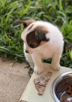 processed/72fb501c-092e-468d-9814-066420275255/listing/73e81ad5-4178-4e6d-a9dd-2a2c299910e6/88d801e7-1f4d-439f-ad8a-d431cbfb7ed9