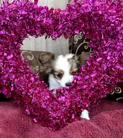 processed/72fb501c-092e-468d-9814-066420275255/listing/73e81ad5-4178-4e6d-a9dd-2a2c299910e6/cd74c38d-6010-4246-909e-22c02317ded8