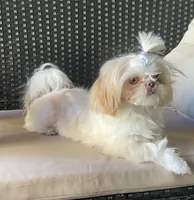 processed/72fbf362-3114-44bc-843b-fe655ff3b3b2/facility/2a84835e-426b-4353-b177-c67d162b819c