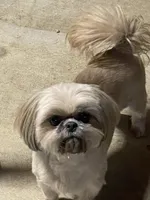 processed/72fbf362-3114-44bc-843b-fe655ff3b3b2/facility/3f31e373-3924-492b-9b50-319d209952e2