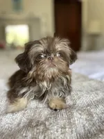 processed/72fbf362-3114-44bc-843b-fe655ff3b3b2/facility/51a3ef6d-b6e0-46fc-8b96-88d9a79f14b2