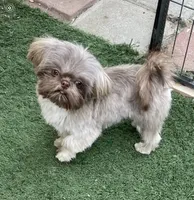 processed/72fbf362-3114-44bc-843b-fe655ff3b3b2/facility/581f5152-9d9e-4422-a972-056c4169a09c