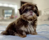 processed/72fbf362-3114-44bc-843b-fe655ff3b3b2/facility/590b1f11-b40c-4172-96c0-d87e202862b4