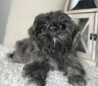 processed/72fbf362-3114-44bc-843b-fe655ff3b3b2/facility/6769114a-1751-442e-9f6b-dba8094d6c93