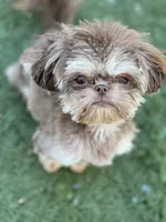 processed/72fbf362-3114-44bc-843b-fe655ff3b3b2/facility/9465c93b-0f13-433a-b4d1-8f9e6077eec8