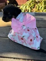 Mia, a female Rottweiler for sale in Richmond, CA – 5 of 6