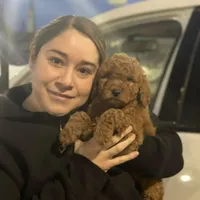 processed/730c8f41-8d13-49a0-92ea-fb14c1bb7559/facility/26927c24-e70d-44b1-922e-cf8ff7e848a7