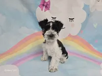 processed/730cd58b-aa10-467e-aca8-61256f7fb3de/listing/3279521c-ca22-4899-8216-aad134d457d1/247f3c78-3f1c-4b73-bcc1-12325d1fe631