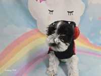 processed/730cd58b-aa10-467e-aca8-61256f7fb3de/listing/3279521c-ca22-4899-8216-aad134d457d1/556ab08d-2a21-4bed-ada4-0b3a5a4898ac