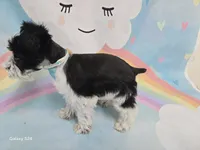 processed/730cd58b-aa10-467e-aca8-61256f7fb3de/listing/3279521c-ca22-4899-8216-aad134d457d1/639c2545-d540-49dc-bd82-fda07ead46f4