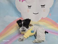 processed/730cd58b-aa10-467e-aca8-61256f7fb3de/listing/3279521c-ca22-4899-8216-aad134d457d1/b1f0c59d-f559-44d4-aef3-39be463a2e1c